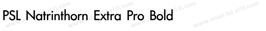 PSL Natrinthorn Extra Pro Bold Ital字体转换